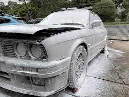 Picture of full detail